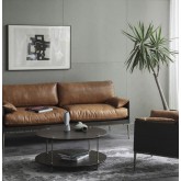 Leather Sofas