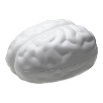 Brain Container