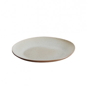 Speckled White Plate