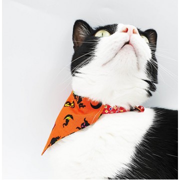 Creepy Pumpkin Scarf Cat Collar