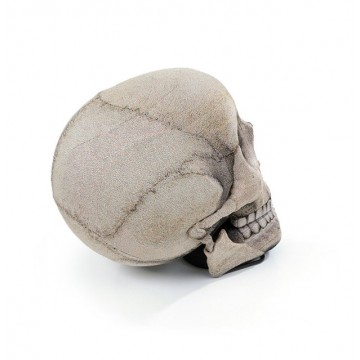 The Skull Chair