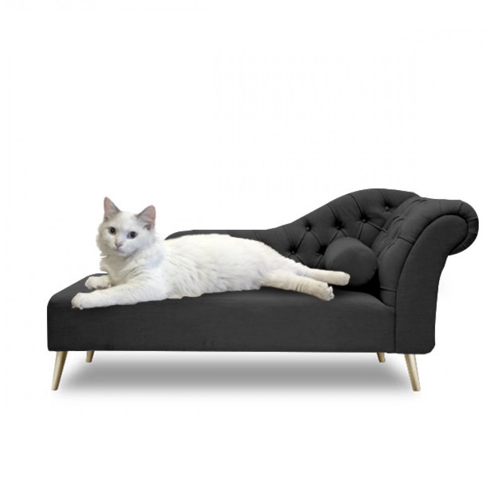 Pet Furniture